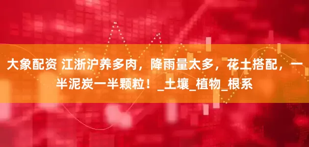 大象配资 江浙沪养多肉，降雨量太多，花土搭配，一半泥炭一半颗粒！_土壤_植物_根系