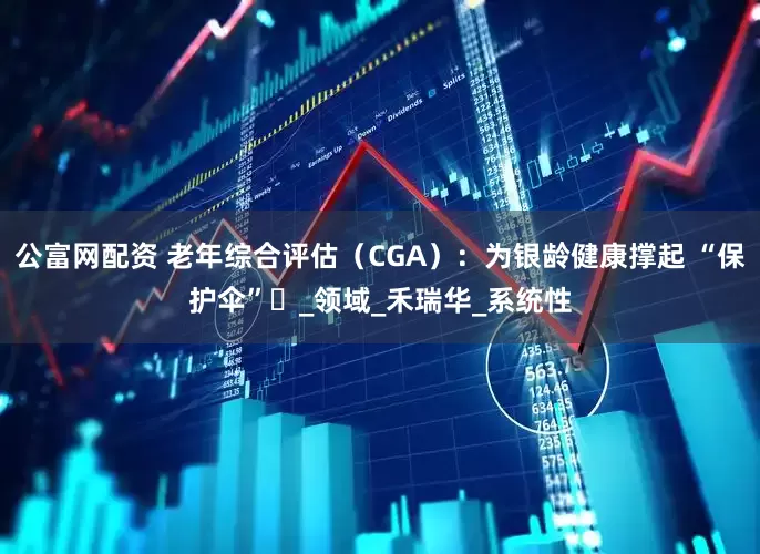 公富网配资 老年综合评估（CGA）：为银龄健康撑起 “保护伞”​_领域_禾瑞华_系统性