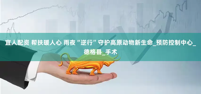 宜人配资 帮扶暖人心 雨夜“逆行”守护高原动物新生命_预防控制中心_德格县_手术