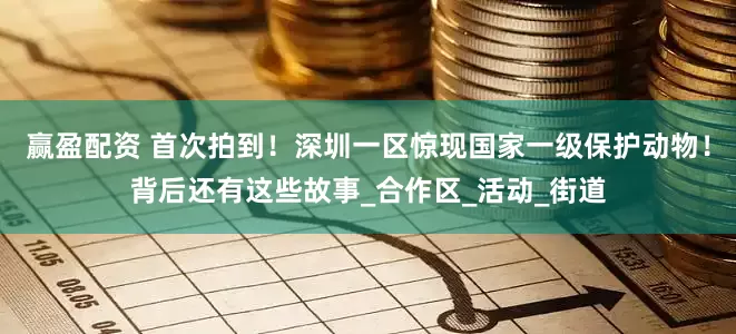 赢盈配资 首次拍到！深圳一区惊现国家一级保护动物！背后还有这些故事_合作区_活动_街道