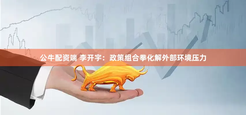 公牛配资端 李开宇：政策组合拳化解外部环境压力