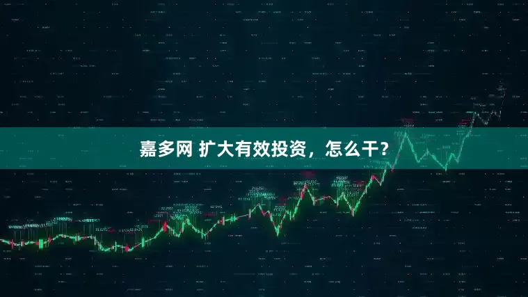嘉多网 扩大有效投资，怎么干？