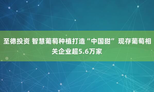 至德投资 智慧葡萄种植打造“中国甜” 现存葡萄相关企业超5.6万家