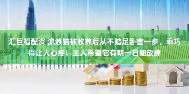 汇巨福配资 流浪猫被收养后从不踏足卧室一步，乖巧得让人心疼！主人希望它有朝一日能放肆