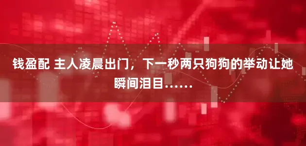 钱盈配 主人凌晨出门，下一秒两只狗狗的举动让她瞬间泪目……