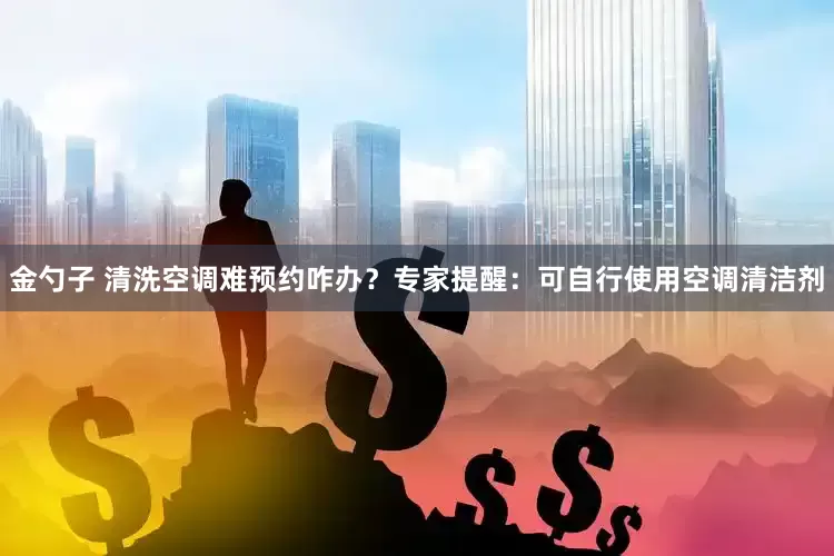 金勺子 清洗空调难预约咋办？专家提醒：可自行使用空调清洁剂